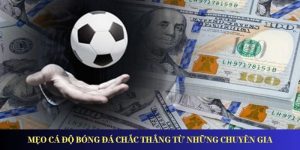 Cách Cá Độ Bóng Đá Chắc Thắng Từ Những Chuyên Gia