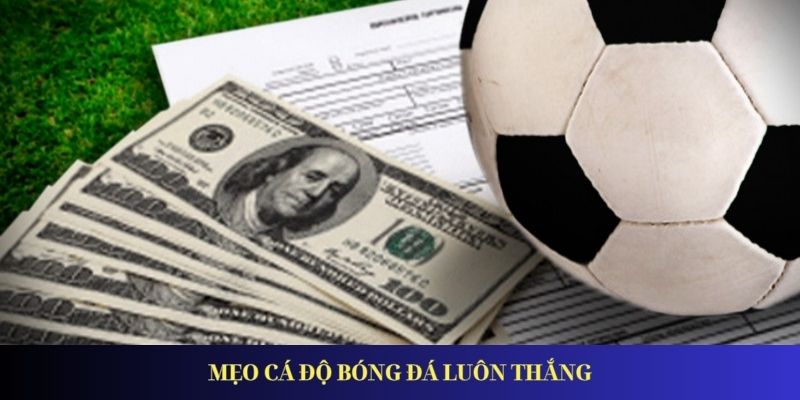 Mẹo cá độ bóng đá luôn thắng